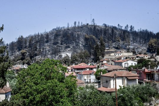 fotia ilia